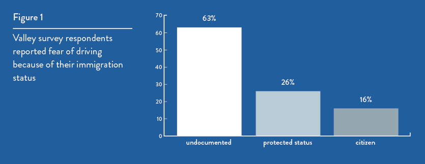 Figure 1: Adults reporting that they fear driving because of their legal status (undocumented, protected)
